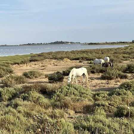 Le Chai De La Gardiole Casa vacanze