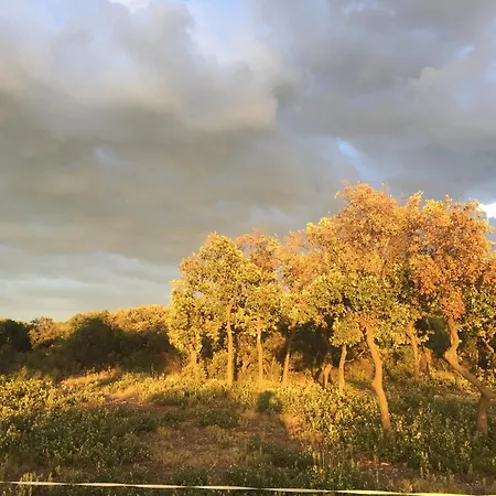 Le Chai De La Gardiole *