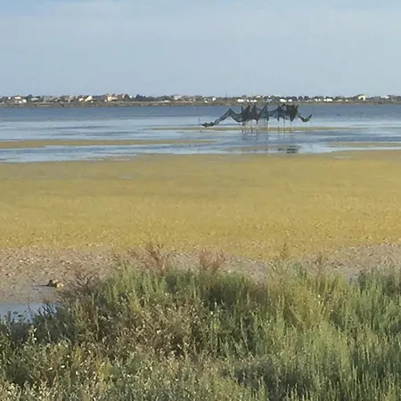 Casa vacanze Le Chai De La Gardiole