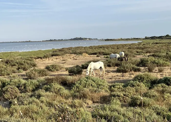 Le Chai De La Gardiole Feriehus